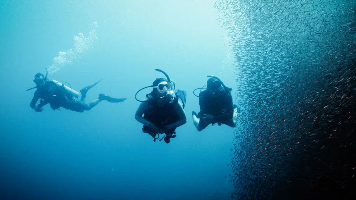 PADI Advanced Open Water Diver course at The Wave Diving Center — photo 6