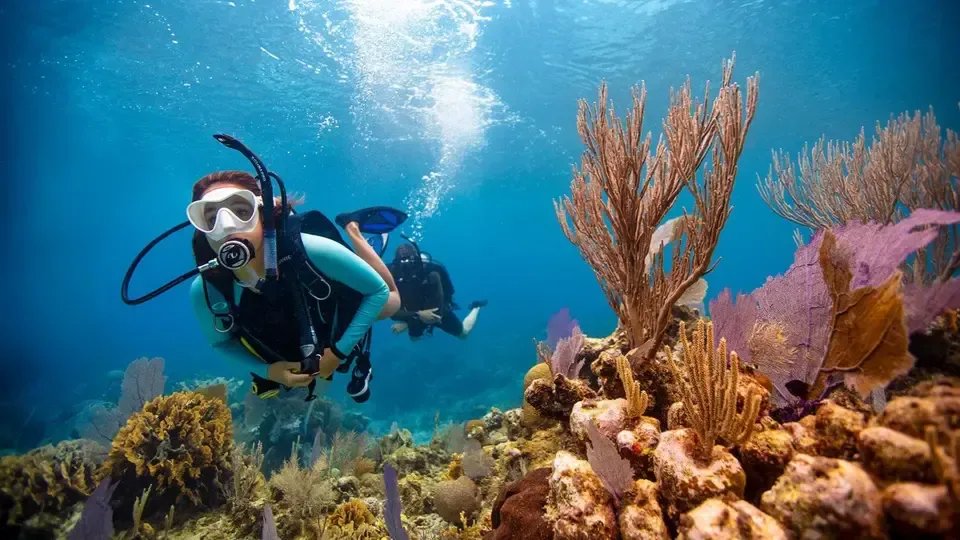 PADI Advanced Open Water Diver course at The Wave Diving Center — photo 8