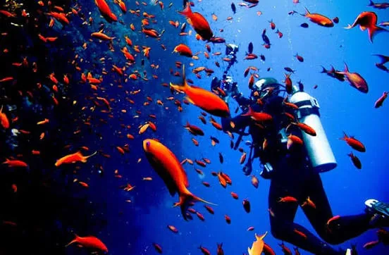 PADI Advanced Open Water Diver course at The Wave Diving Center — photo 14