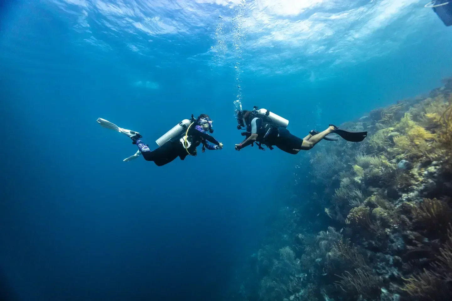 Smiling diver swimming toward the camera with her dive group behind on an Open Water dive
