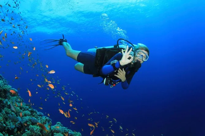 PADI Adventure Diver