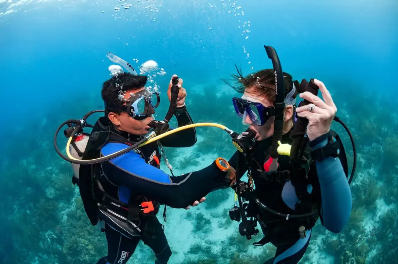 Курс PADI Adventure Diver в The Wave Diving Center — фото 10