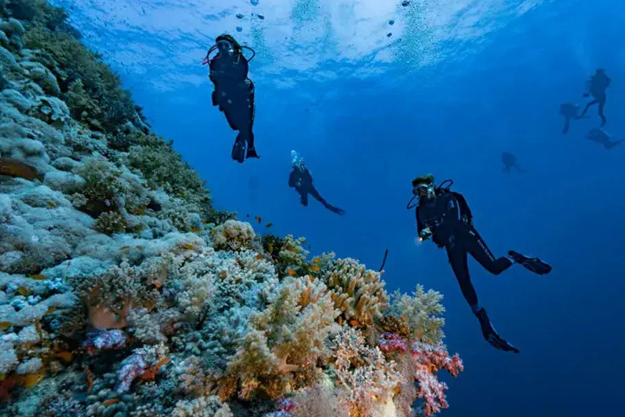 Курс Boat Diver в The Wave Diving Center — фото 5