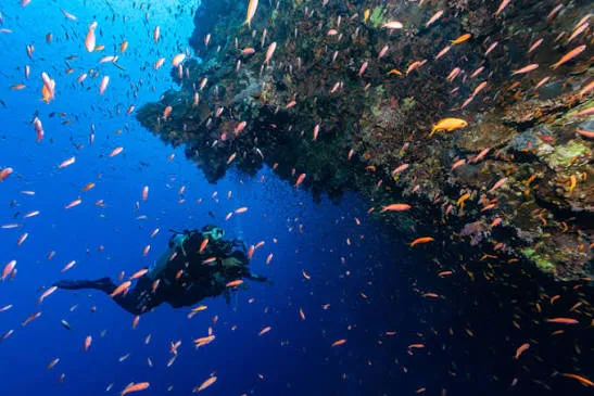 Dahab Blue Hole & Canyon diving trip — photo 15