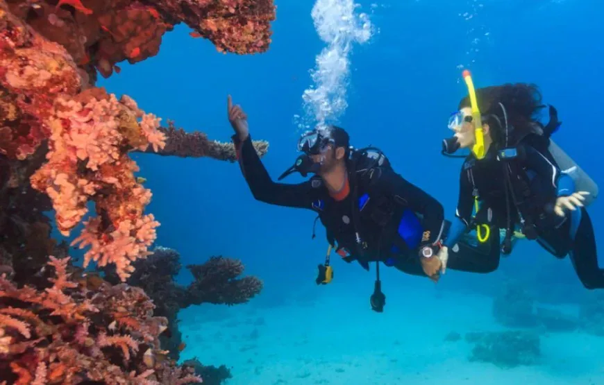 Deep Diver course at The Wave Diving Center — photo 3