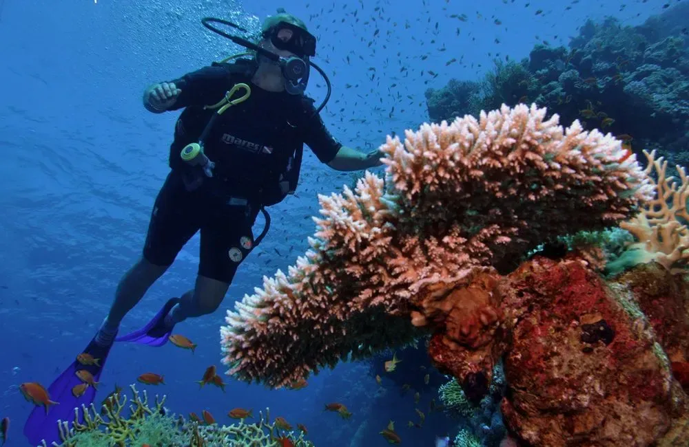 Shore diving in Sharm El Sheikh — photo 2