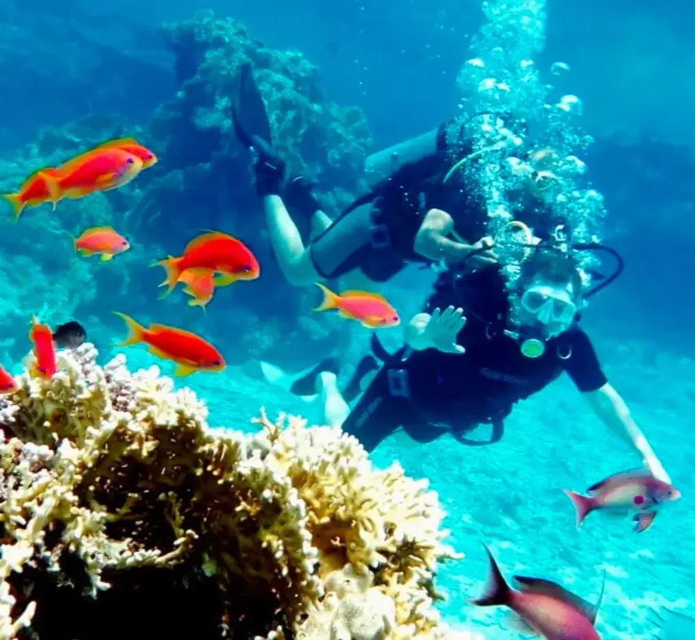 Курс Discover Scuba Diving в The Wave Diving Center — фото 3