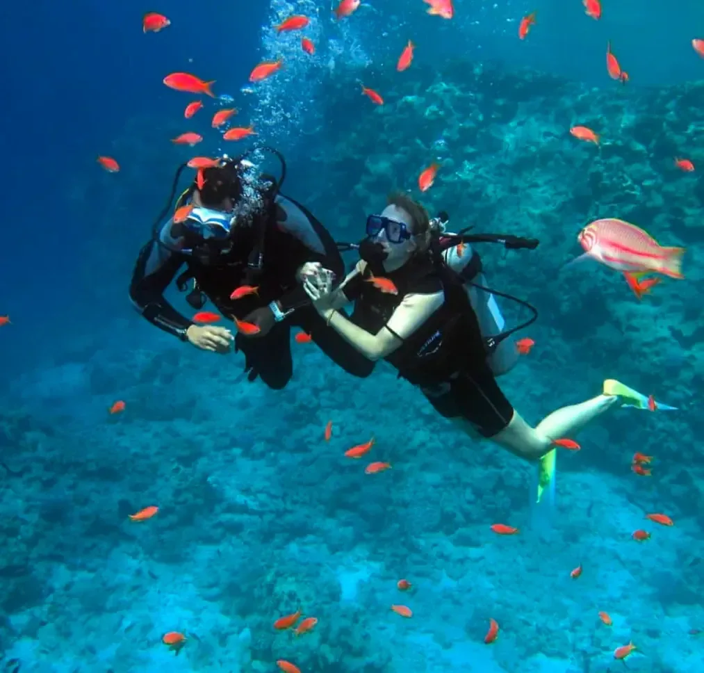 Курс Discover Scuba Diving в The Wave Diving Center — фото 4