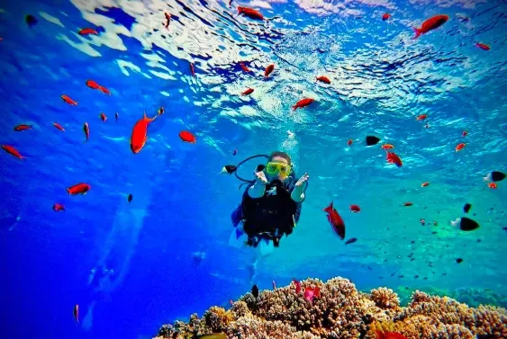 Курс Discover Scuba Diving в The Wave Diving Center — фото 6