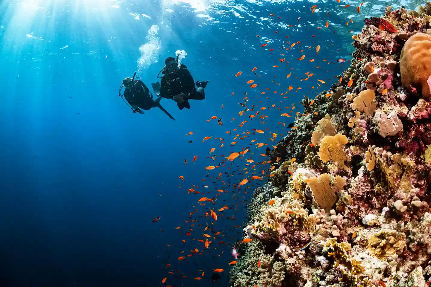 Ras Mohammed diving by land — photo 1