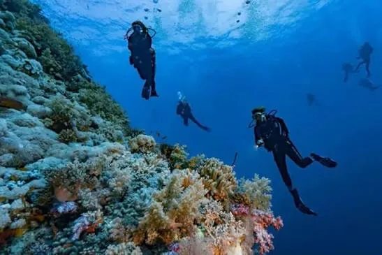 Smiling diver swimming toward the camera with her dive group behind on a Red Sea navigation dive