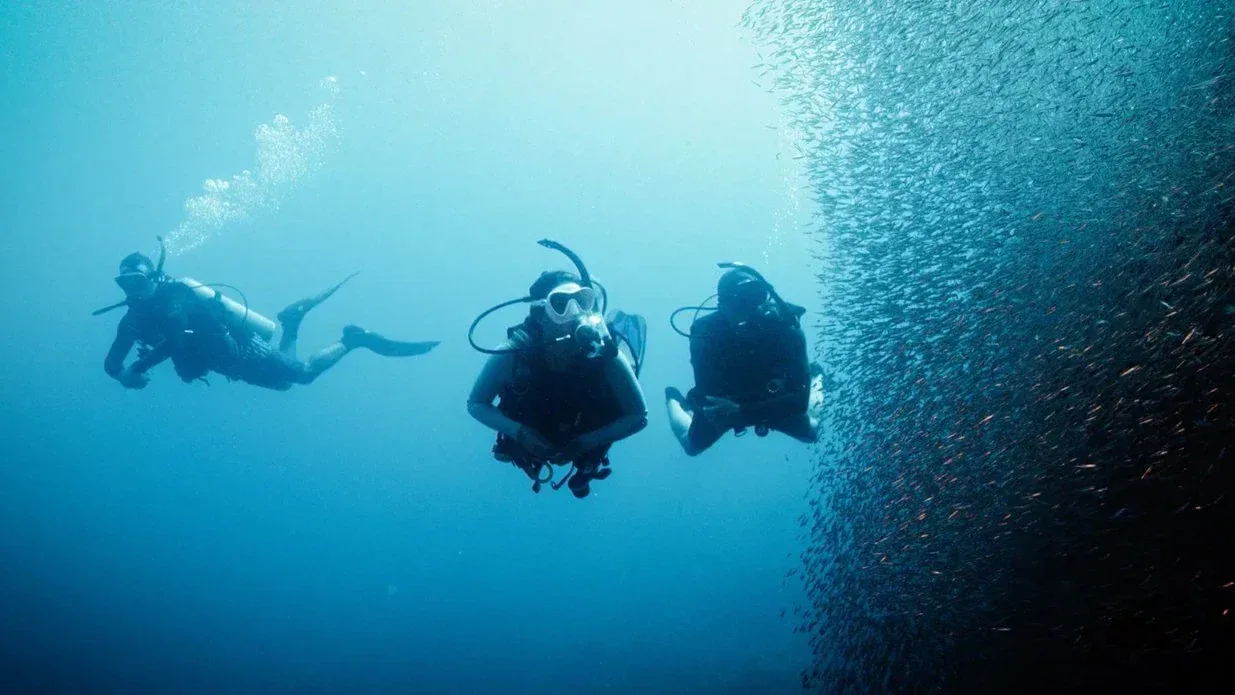Underwater Navigator course at The Wave Diving Center — photo 5