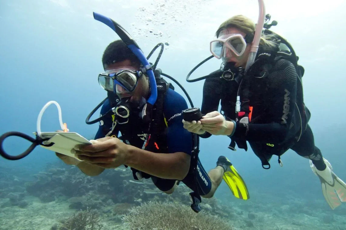 Underwater Navigator course at The Wave Diving Center — photo 6