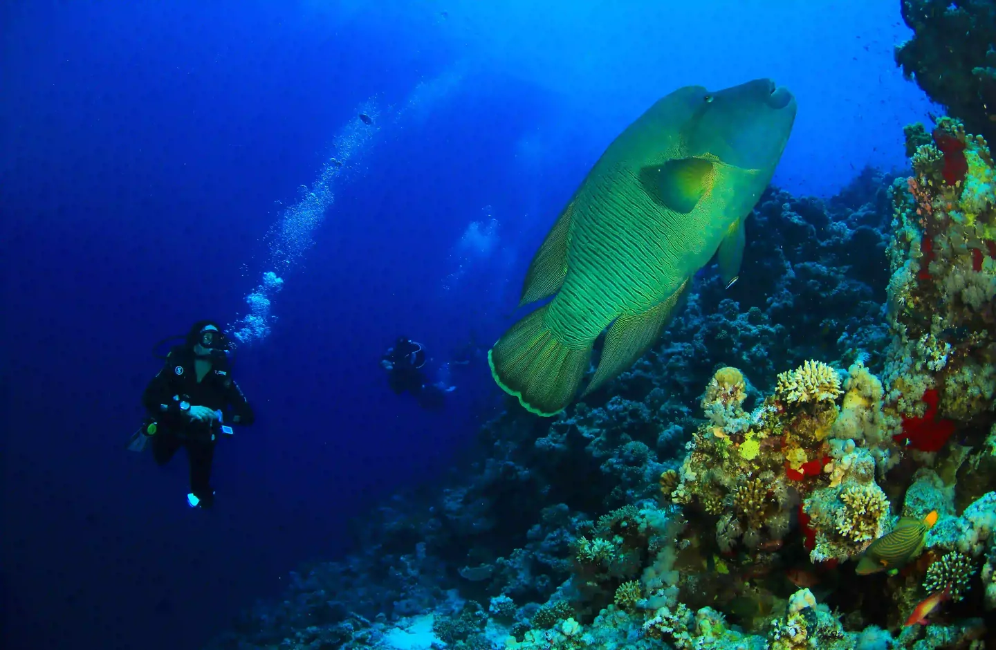 Shore diving in Sharm El Sheikh at The Wave Diving Center