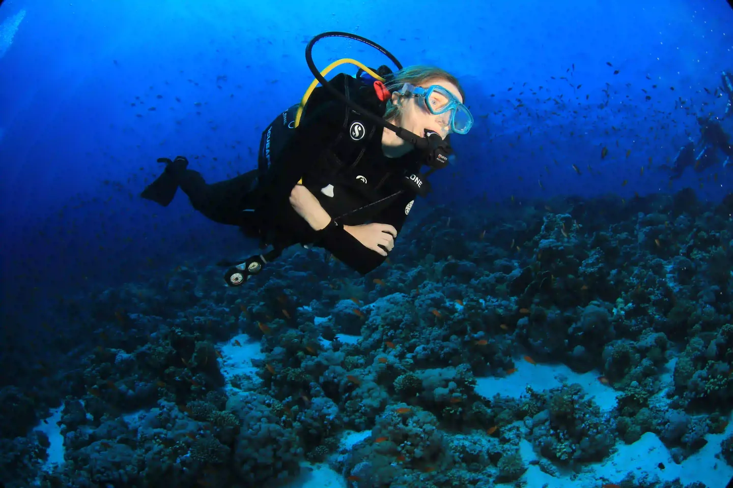 Shore diving in Sharm El Sheikh at The Wave Diving Center
