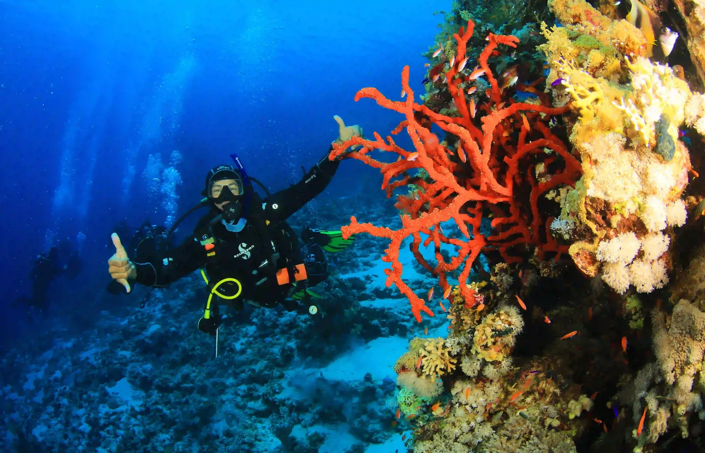Shore diving in Sharm El Sheikh at The Wave Diving Center