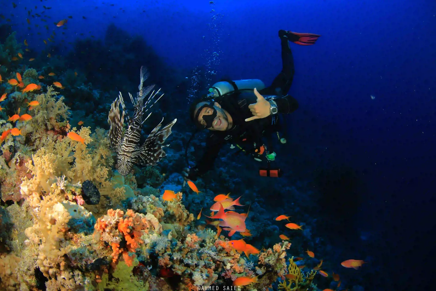Shore diving in Sharm El Sheikh at The Wave Diving Center