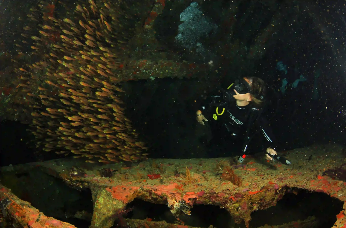 Night diving in Sharm El Sheikh at The Wave Diving Center