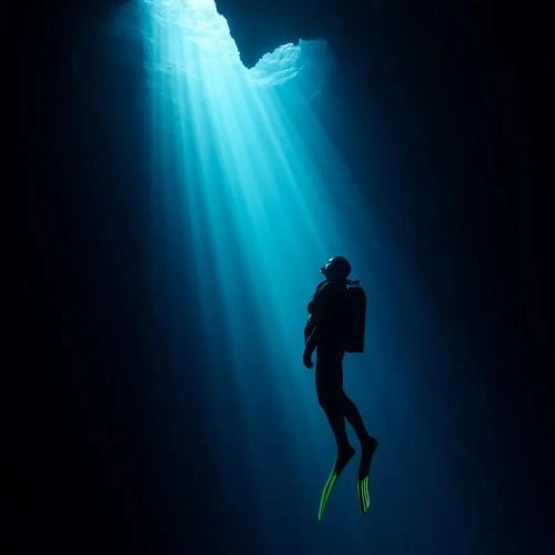 Night Diver