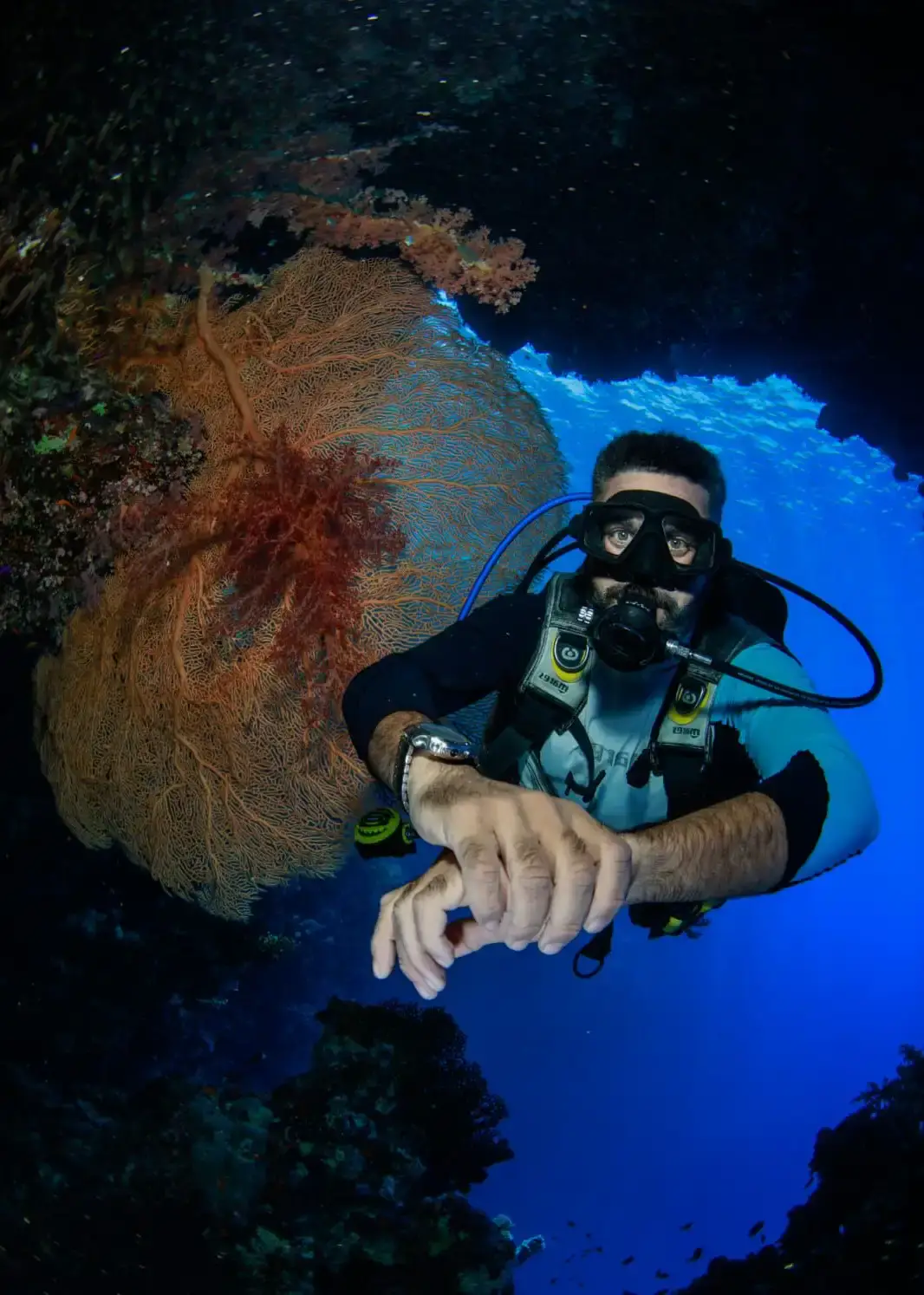 Night dive in Sharm El Sheikh — photo 1