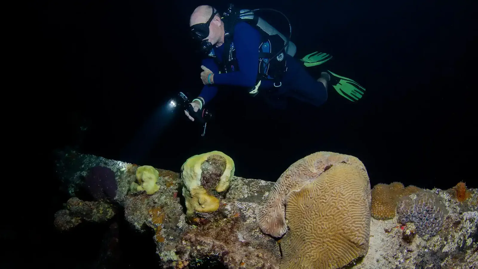 Night dive in Sharm El Sheikh — photo 3