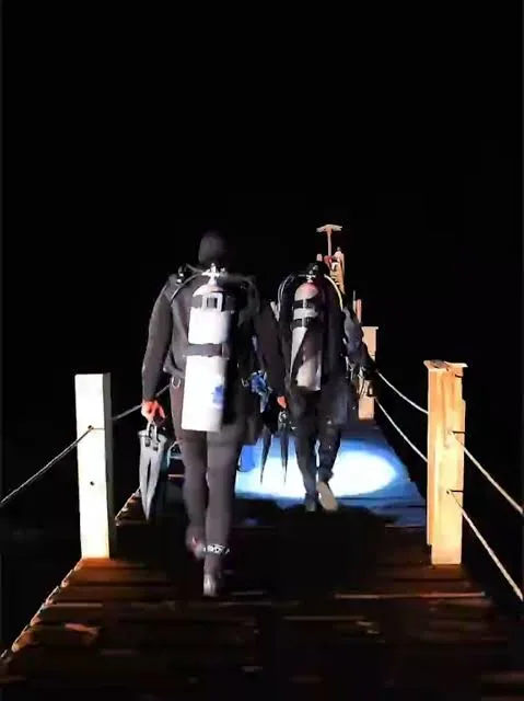 Night dive in Sharm El Sheikh — photo 5