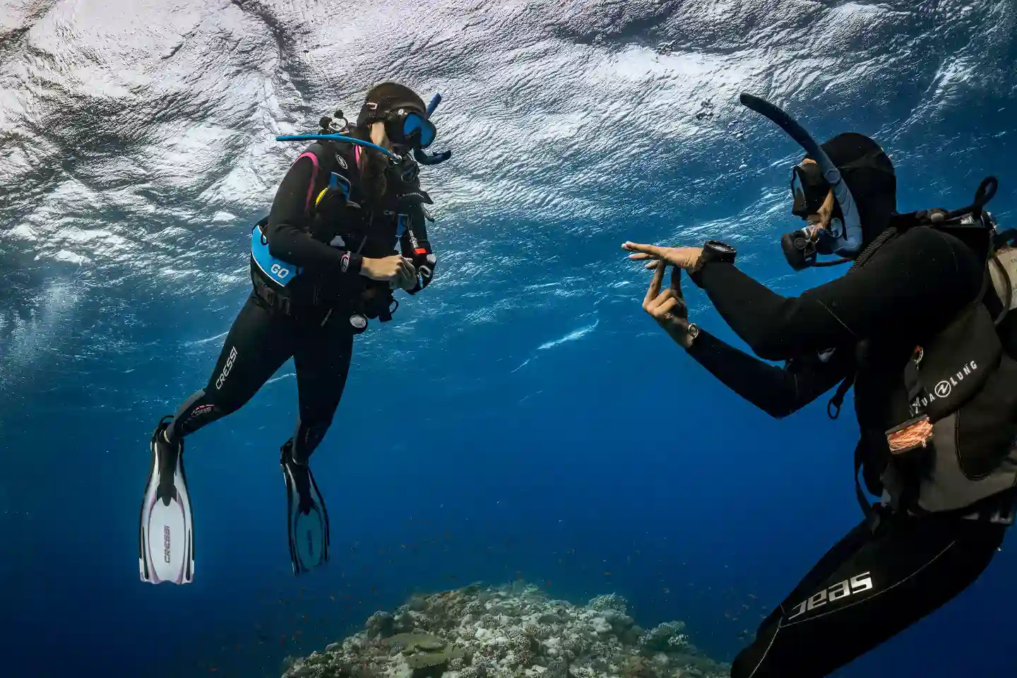 Курс-рефрешер в дайв-центре The Wave Diving Center — фото 4