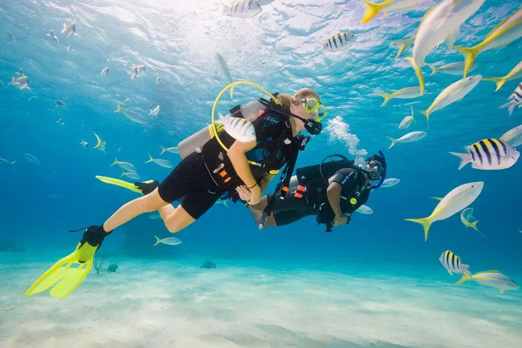 PADI Scuba Diver