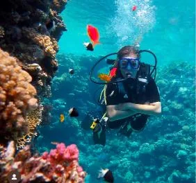 Курс PADI Scuba Diver в The Wave Diving Center — фото 2