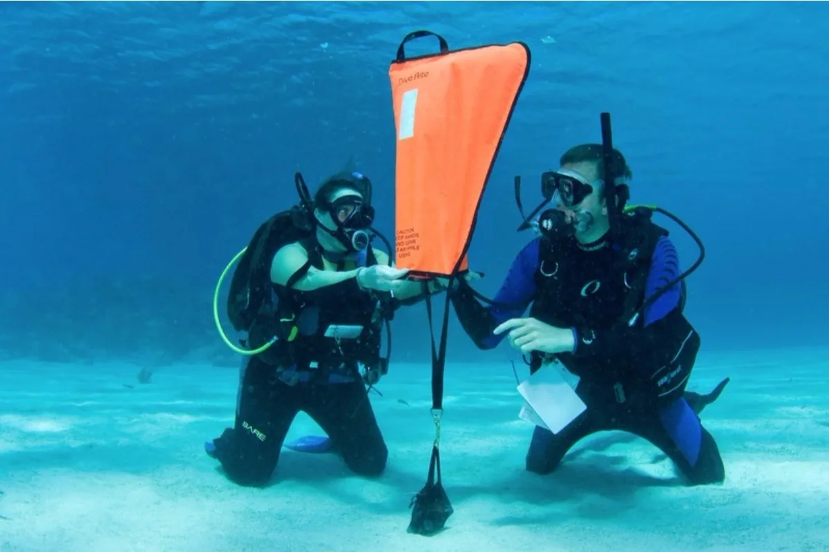 Search and Recovery