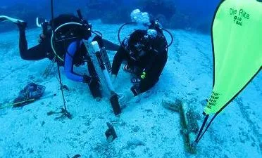 Курс Search and Recovery в The Wave Diving Center — фото 2