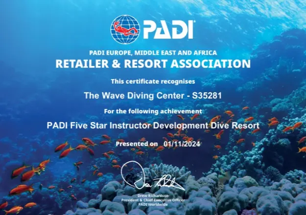 PADI Five Star Instructor Development Dive Resort certificate