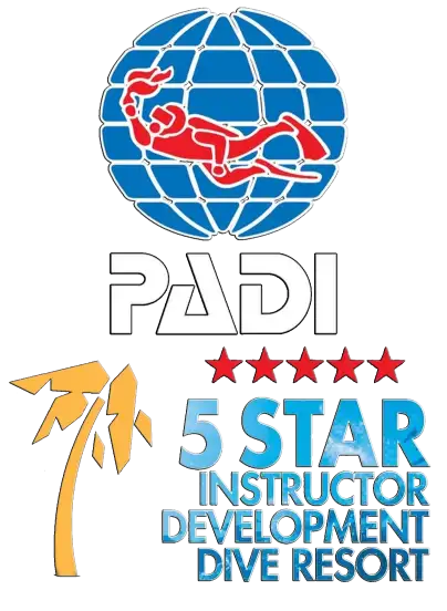 Сертификация PADI 5 Star Instructor Development Dive Resort
